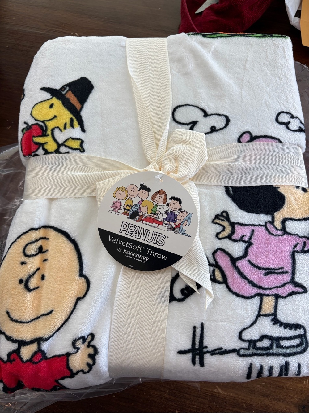 Peanuts Halloween Snoopy Charlie Brown Berkshire Velvet Soft Throw Blanket 55x70
